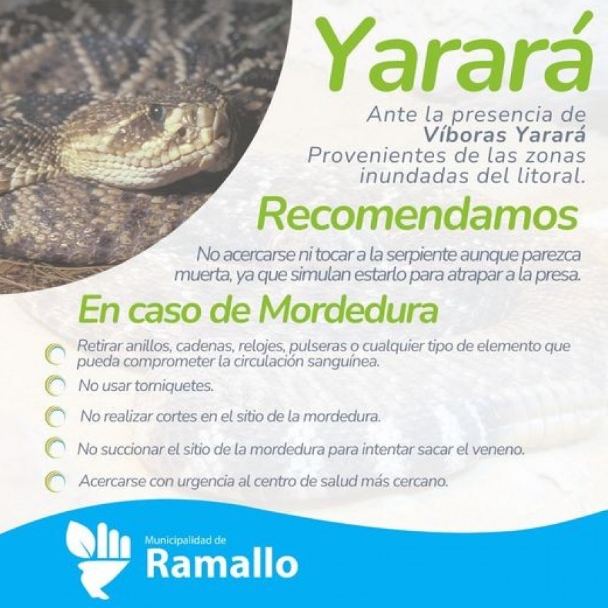 RAMALLO TENDENCIAS - PREVENCION