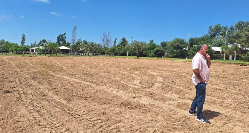COMPLEJO MUNICIPAL DE DEPORTES EN LA ARENA