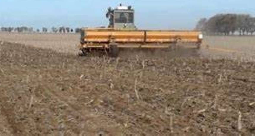 AGRO BONAERENSE
