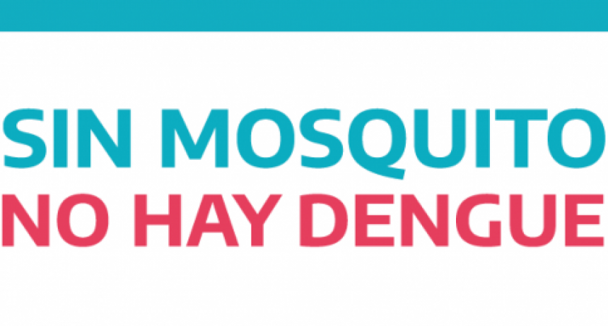 SIN MOSQUITO NO HAY DENGUE| Gobierno de la Provincia de Buenos Aires