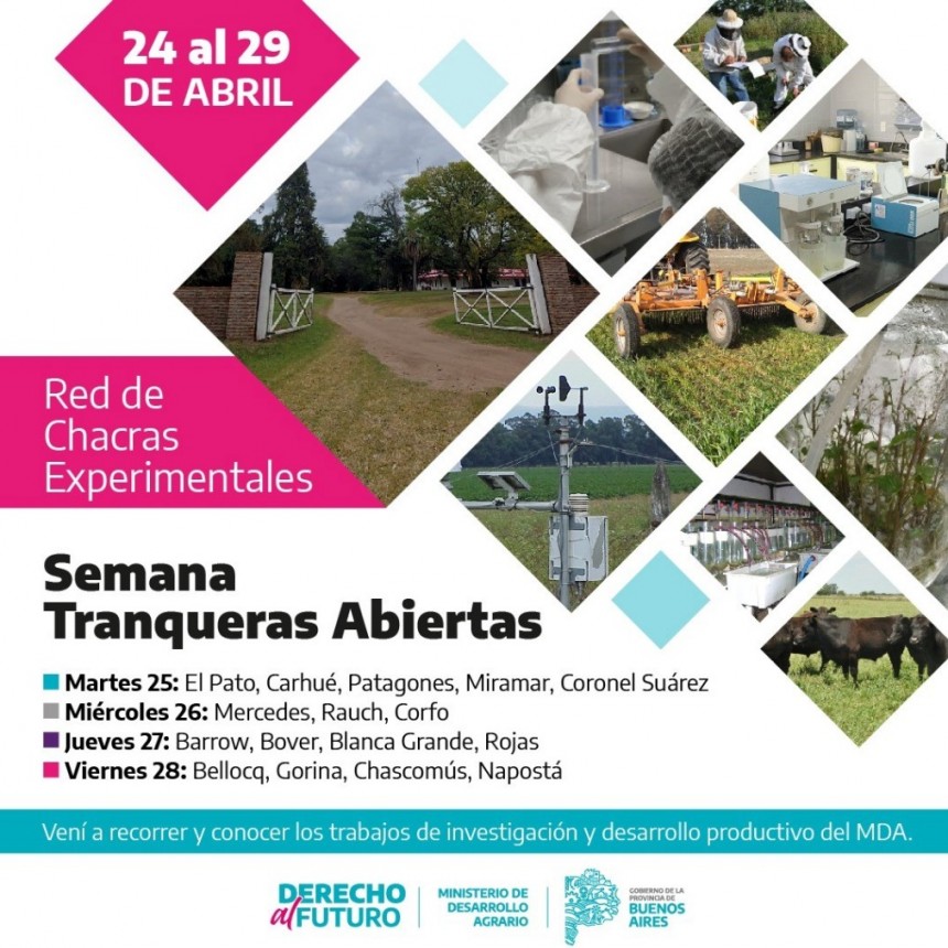 INNOVACION CLAVE PARA EL FUTURO