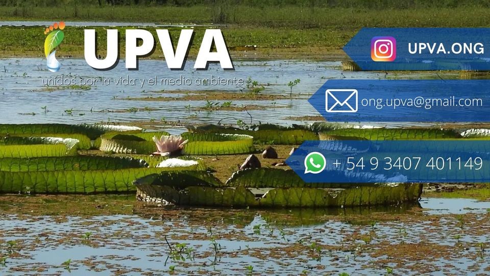 5 DE JUNIO DIA MUNDIAL DEL MEDIO AMBIENTE