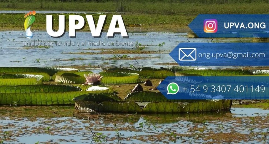 5 DE JUNIO DIA MUNDIAL DEL MEDIO AMBIENTE