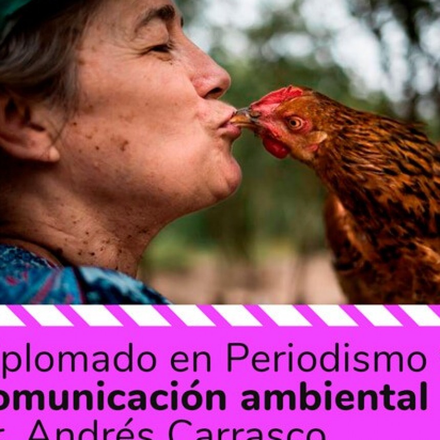 DIPLOMADO Periodismo y Comunicación Ambiental  -Dr Andrés Carrasco-  lavaca. org <diego@lavaca.org>