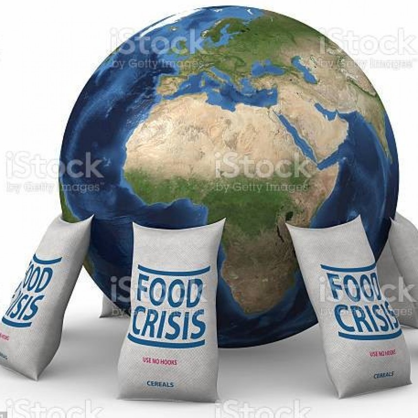 ESCASEZ DE ALIMENTOS EN EL PLANETA