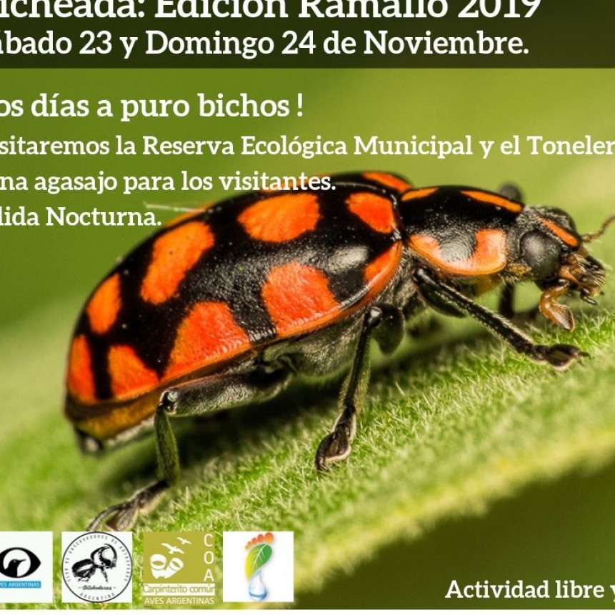 TURISMO ECOLÓGICO